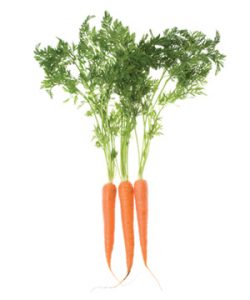 carrots