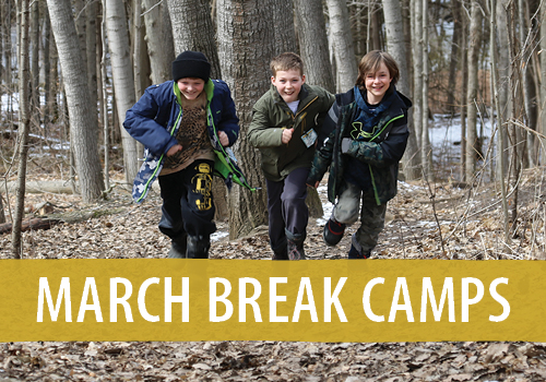 March break camps