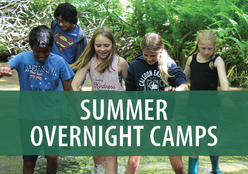 summer overnight camps
