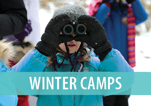 winter camps