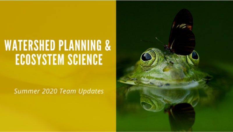 Watershed Planning & Ecosystem Science – Summer 2020 Team Updates