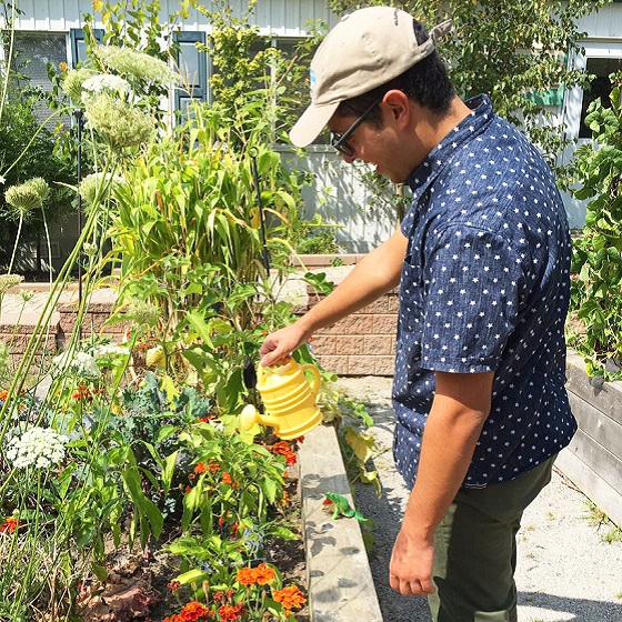 People Power Challenge participant tends to pollinator garden