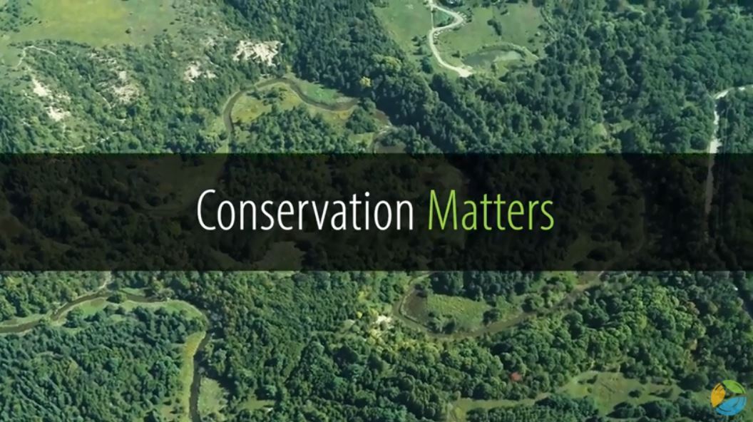 opening frame of TRCA Conservation Matters video