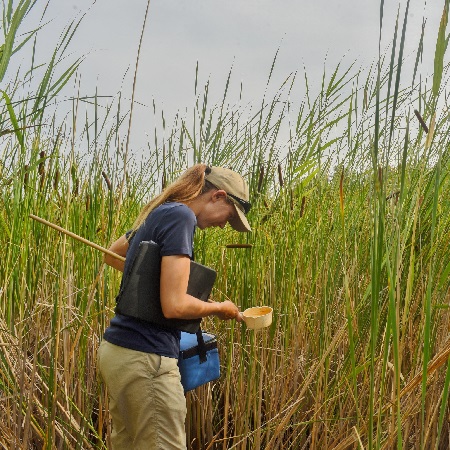 TRCA field staff team member conducts West Nile Virus monitoring