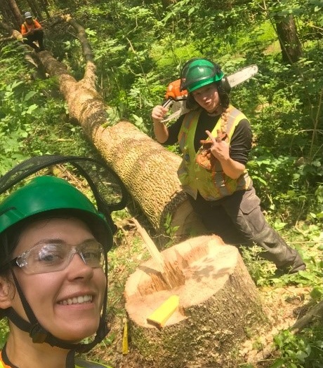 TRCA forestry team members Anna Ketchum Alex Bryski and Trevor Hill removing hazardous Ash trees in Albion Hills Conservation Park