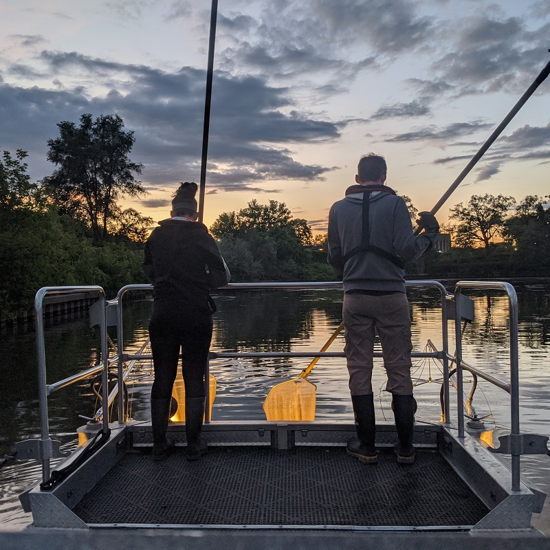 TRCA team members on boat conducting night electrofishing