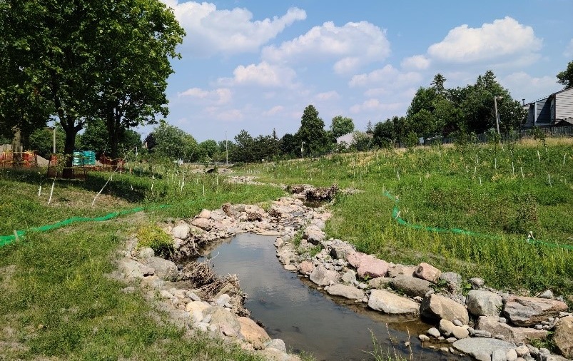 TRCA team members help to restore creek in Brampton
