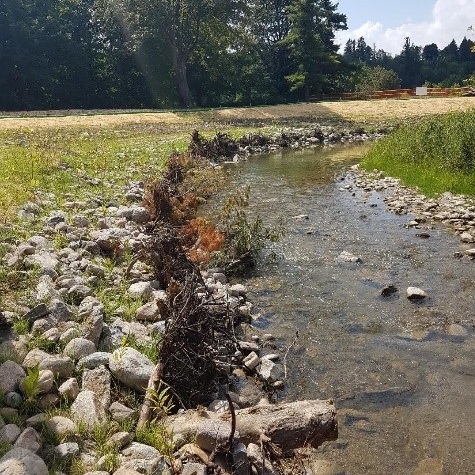 TRCA team members perform stream restoration at Boyd Conservation Park