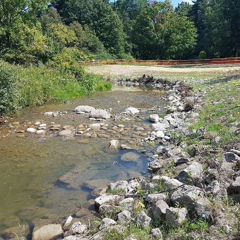 TRCA team members perform stream restoration at Boyd Conservation Park