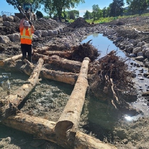 TRCA team members restore fish and wildlife habitat in Brampton