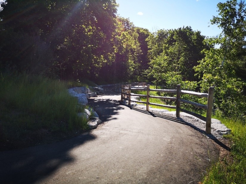 Black Creek Trail before improvements