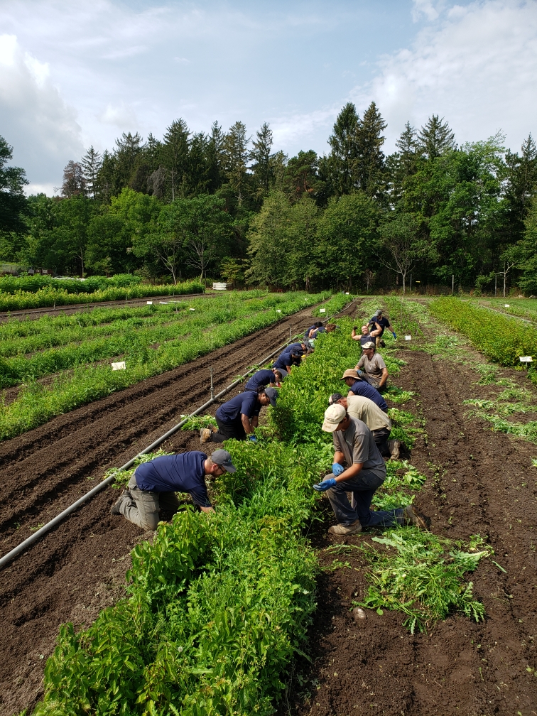 The TRCA ravine team at the nursery