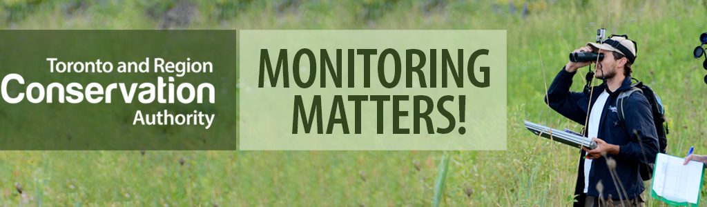 Fall 2022 Monitoring Matters newsletter