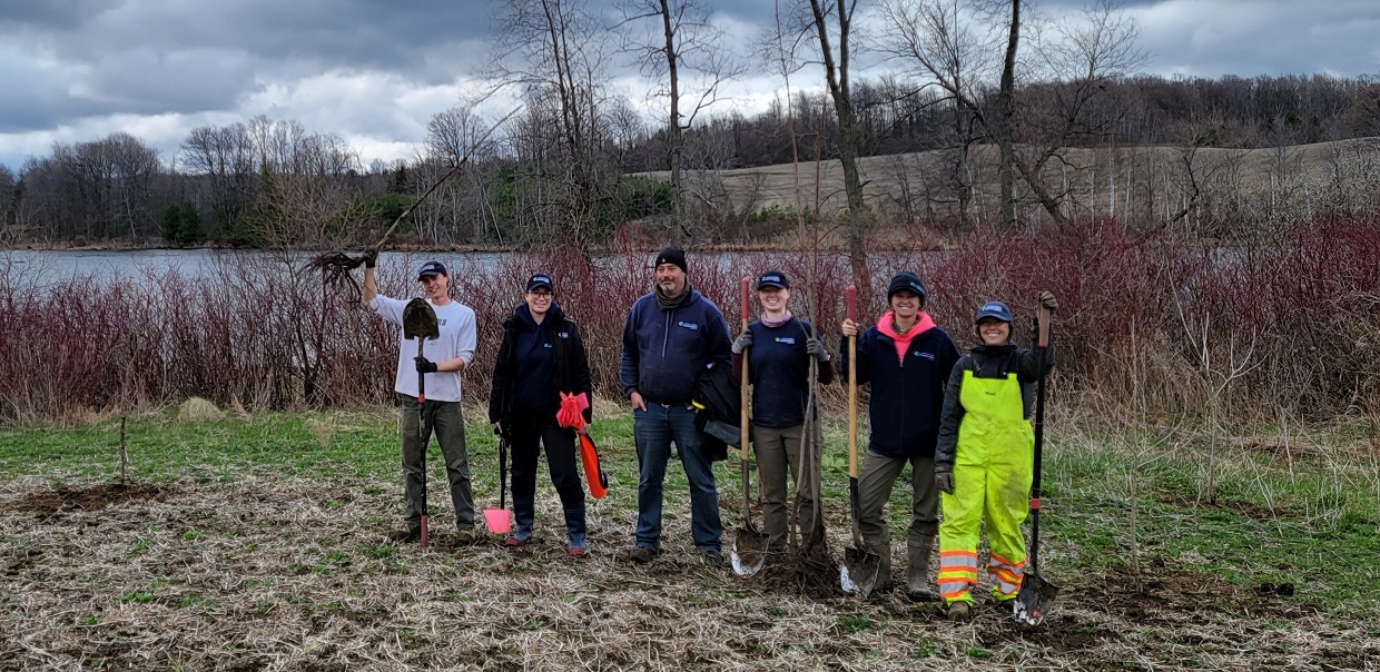 TRCA planting field crew hard at work on a blustery spring day