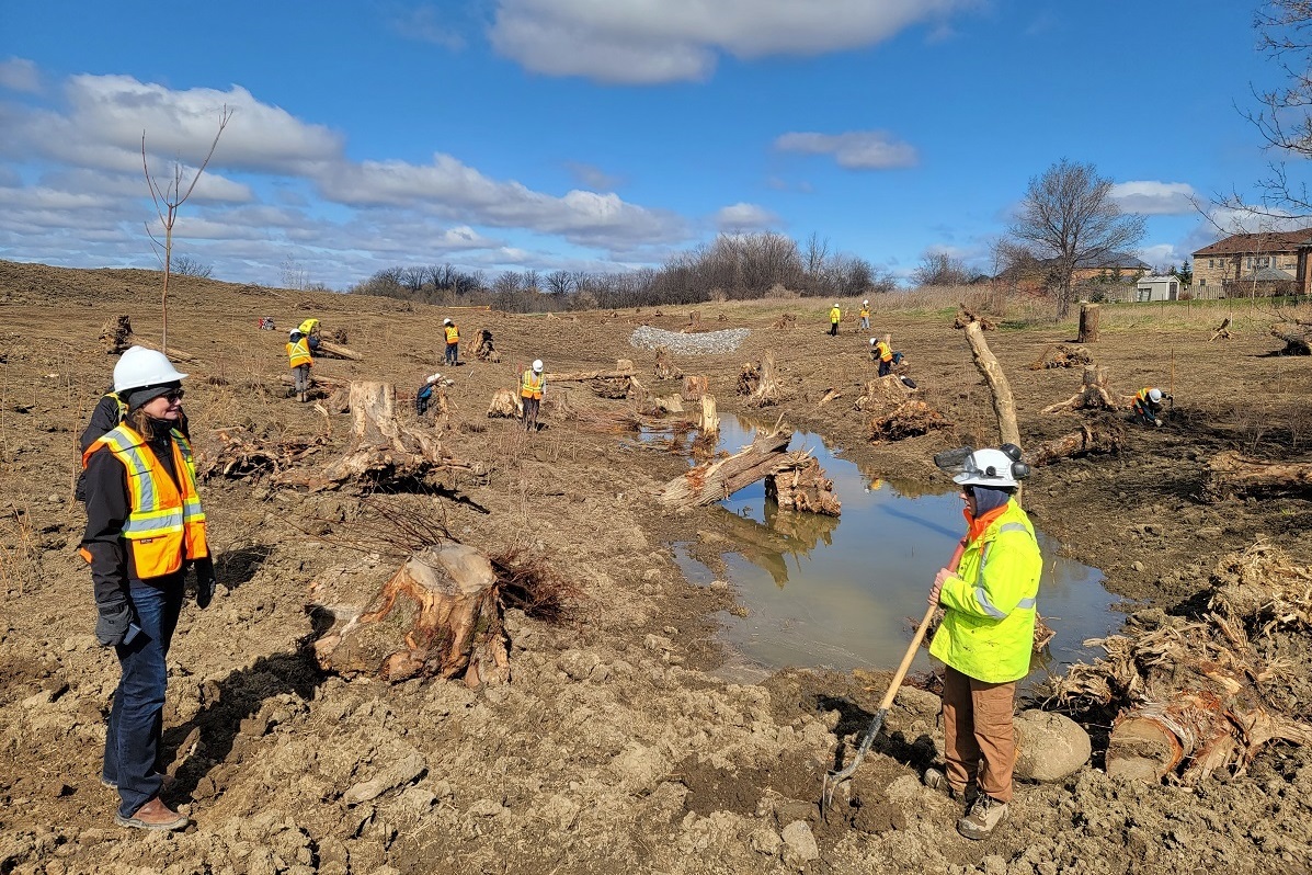 TRCA field crew planting at a newly restored wetland in Claireville Conservation Area