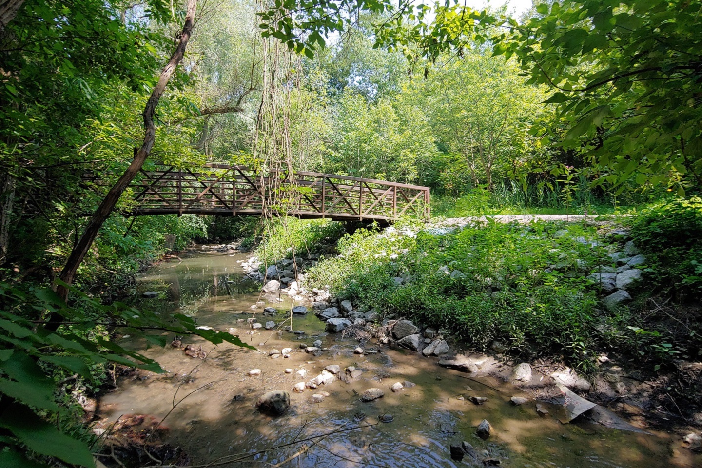 Ajax Bridge Restoration Project