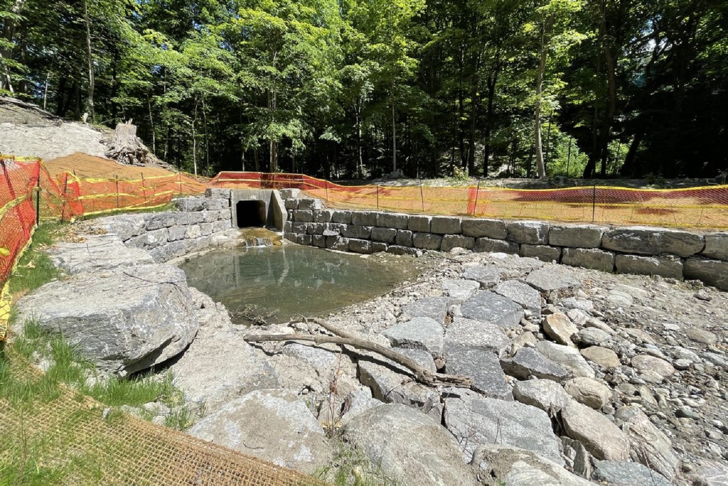 Mud Creek Restoration Project