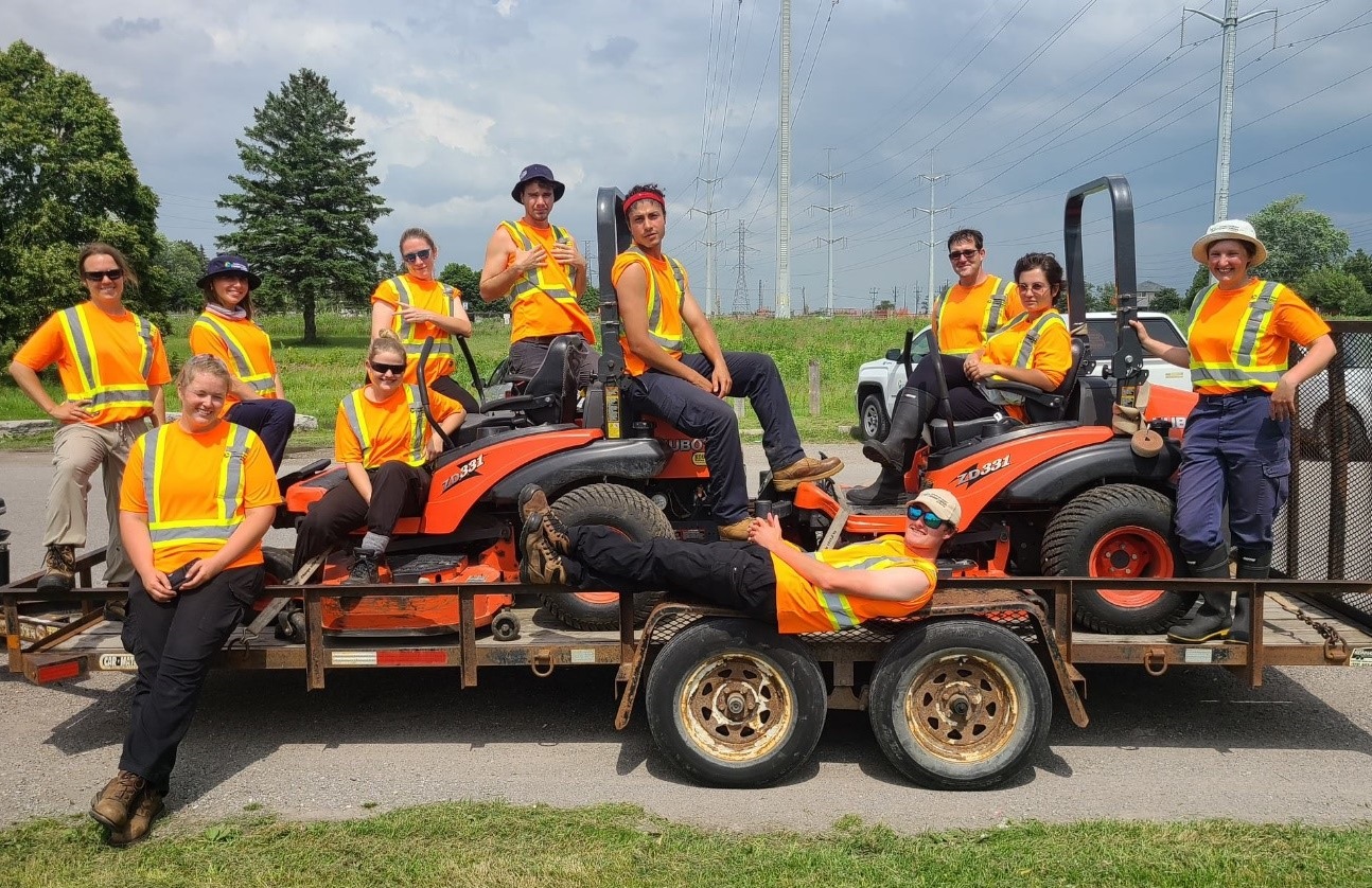 The Meadoway and Invasives Management teams