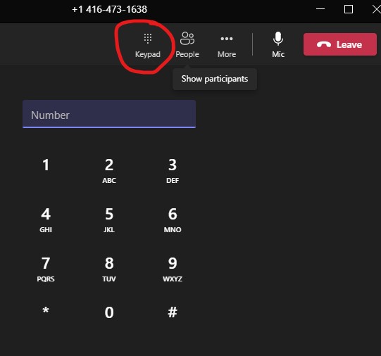 you can access the keypad while calling another organization or person with an auto attendant