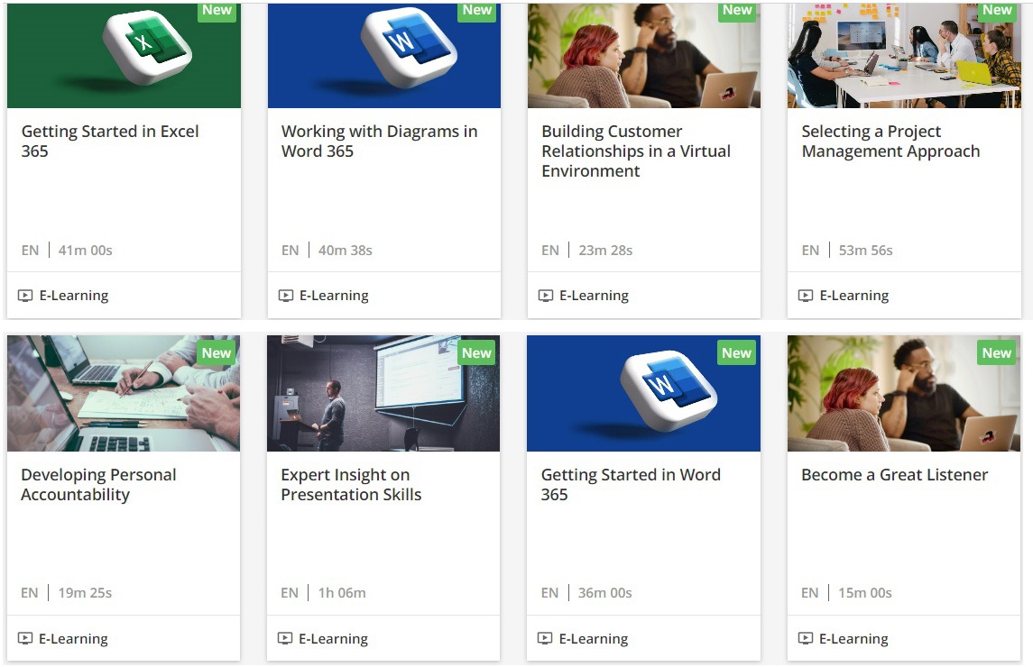 A sampling of Skillsoft e-Learning courses