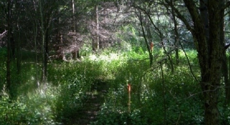 E.T. Seton Park