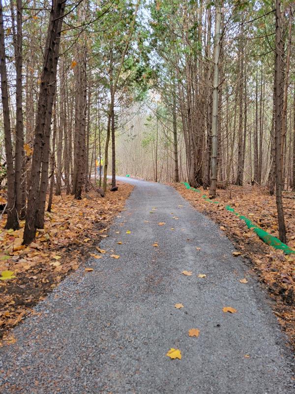 Altona Forest trail