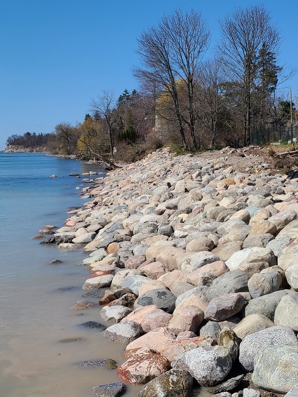 shoreline of Frenchmans Bay
