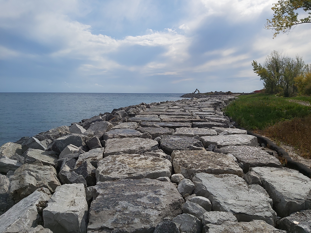 restored backshore